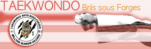 Taekwondo Bris sous Forges