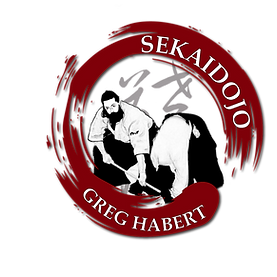 Aïkido MJC Palaiseau