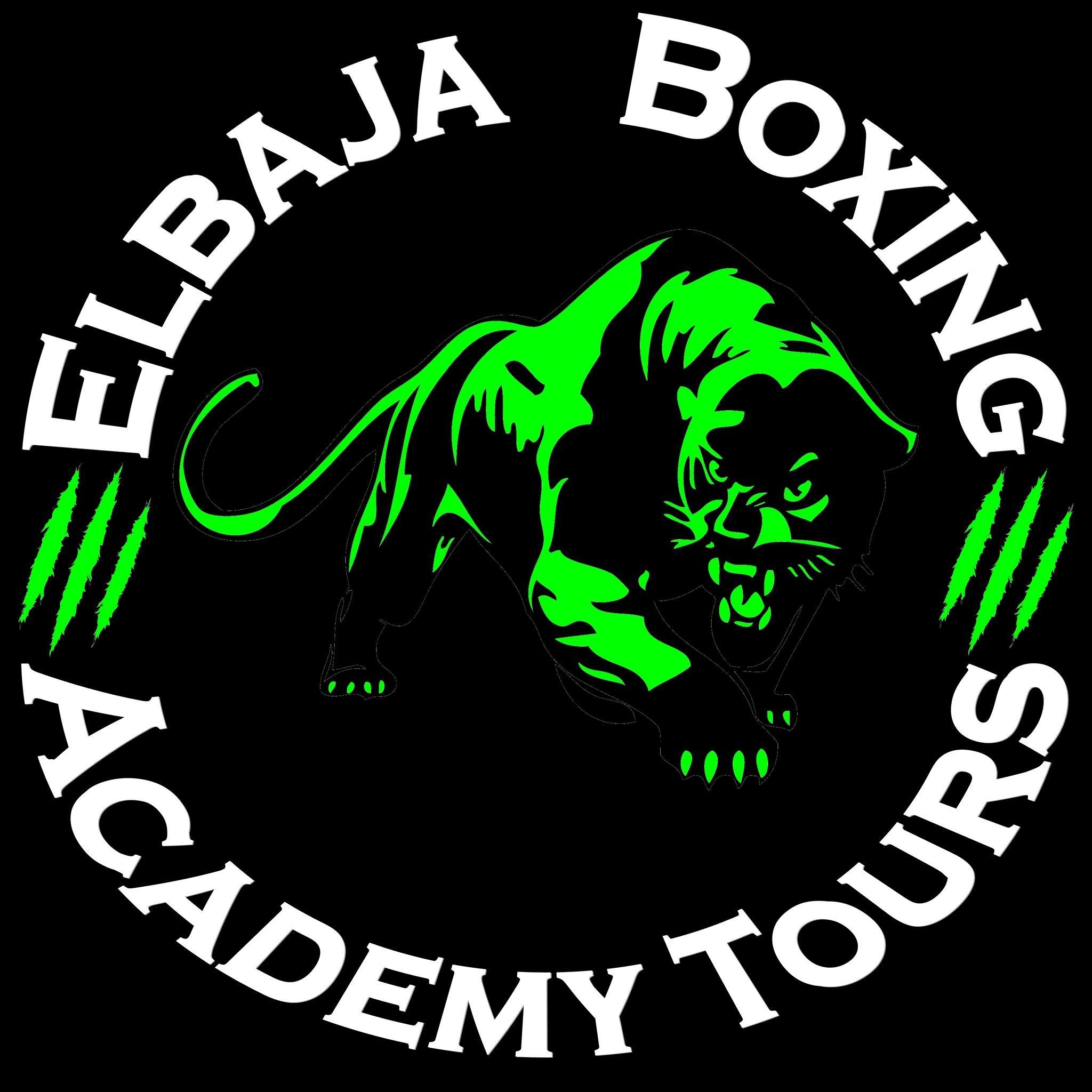 Elbaja Boxing Academy de Tours
